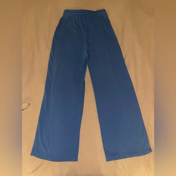 Aritzia Wilfred Free Lounge Sweatpants (Azurine Blue) (with matching top) - Picture 4 of 16